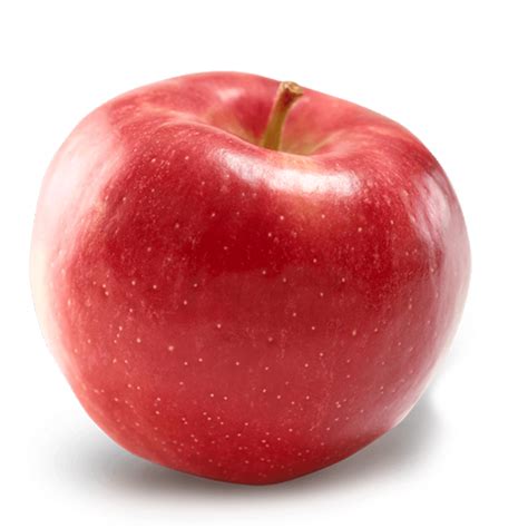Image result for Apple Basic Programming Example