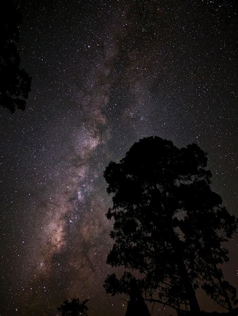 Pixel 7 - Haleakala National Park, Maui HI @ 7000ft elevation : r/Pixel_Astrophoto