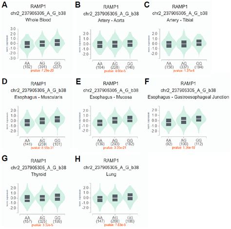 Clinical and Genetic Factors Associated with Non-Response to Erenumab