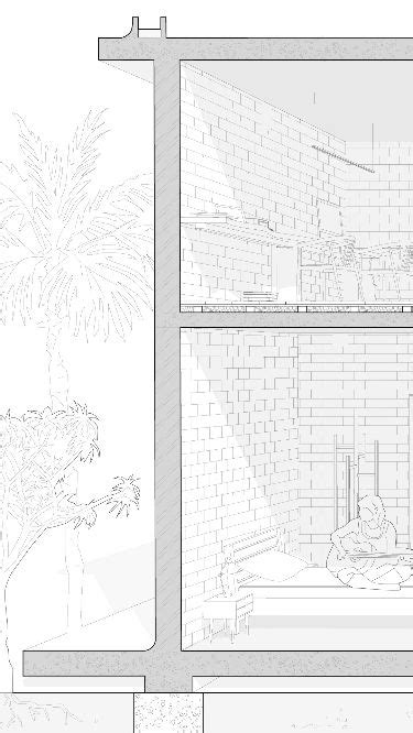 How to Draw Section View 的图像结果