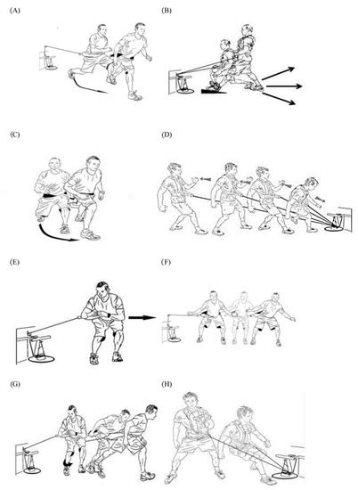 Effects of Direction-Specific Training Interventions on Physical ...