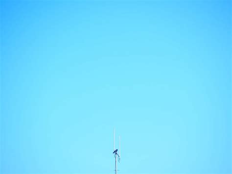 Download A Solid Light Blue Background | Wallpapers.com