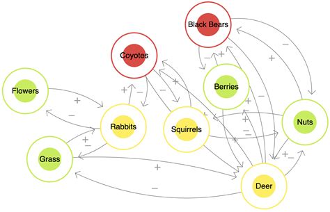 Keystone Species Diagram
