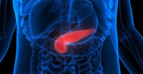 Tumore al pancreas, la frontiera della ricerca per cure sempre più ...