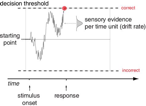 Drift-Diffusion Model 的图像结果