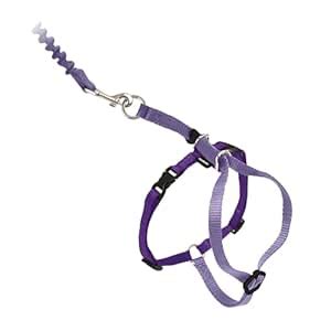 PetSafe Come with Me Kitty Harness and Bungee Leash