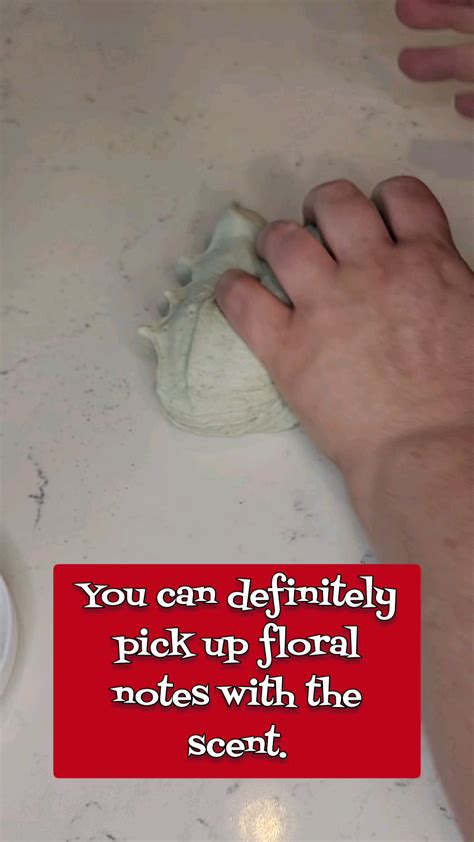 That's No Ordinary Rabbit! Review : r/Slime