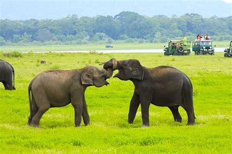 HURULU ECO PARK (2025) All You Need to Know BEFORE You Go (with Photos ...