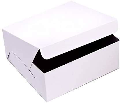 Buy White -Plain White Paper Box 9 x9x 5(Set of 10 pcs) for 1 Kg Cake ...