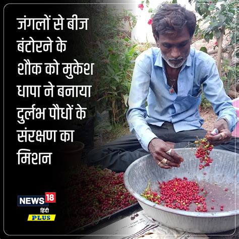 दिहाड़ी मजदूर ने बनाया दुर्लभ पौधों का सीड बैंक, मुफ्त बांटकर चलाई ...