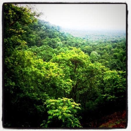 Kuno-Palpur Wildlife Sanctuary (Sheopur) - 2020 What to Know Before You ...