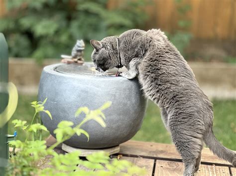 Tankana Garden Water Fountain Outdoor Bubbler Water Feature India | Ubuy