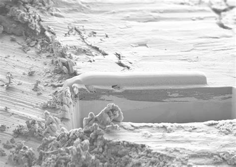 Rasterelektronenmikroskopie (REM): Hochpräzise Analyse und Bildgebung