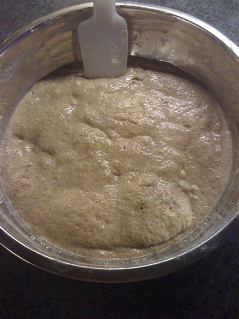 justcooking.in - Food Dictionary - Cooking Terms - Autolysis