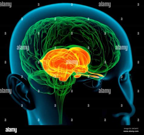 Image result for Knowledge Graph Visual Example
