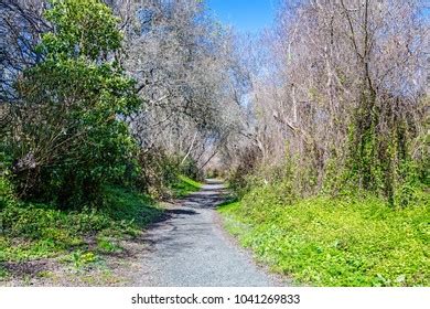 Image result for Solid Rectangular Prism with Closed Triangular Pyramd