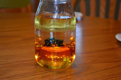 Cool Liquid Experiments 的图像结果