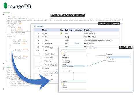 Document data structures in MongoDB - Dataedo