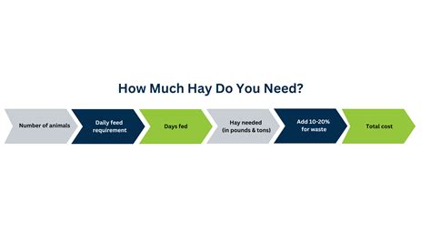 How Much Does a Bale of Hay Cost? A Guide to Budgeting for Your Livestock’s Nutrition | HitchPin