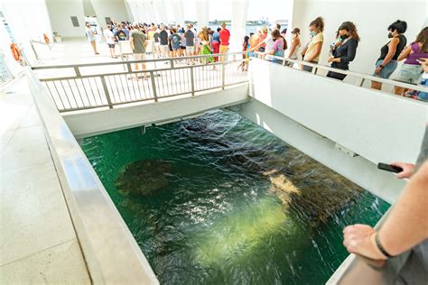 Inside Uss Arizona Memorial