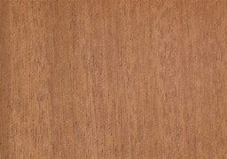 Image result for mahogany