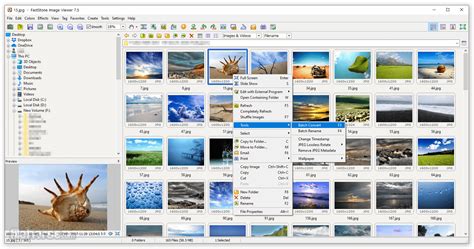 Image result for FastStone Image Viewer Tutorial