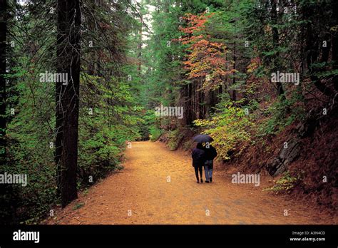 Path 的图像结果