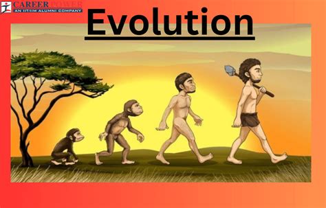 Define Evolution 的图像结果