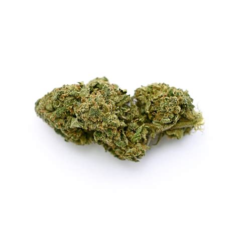 Veraseed Flores CBD Bubblegum indoor - VeraSeed