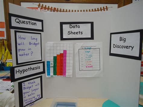 Science Board Warehouse Stationery at Santos Long blog