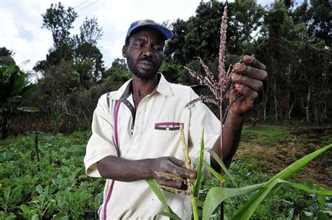 Climate change may destroy sources of income for rural Africa: Report