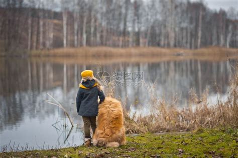 在湖边做梦的小女士和她狗带着女孩看一个9805秋季湖的表面高清图片下载-正版图片307143226-摄图网