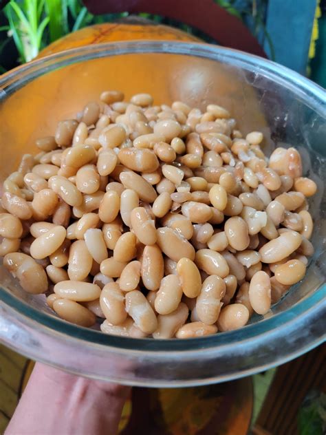 Quick Soak Mayocoba Beans - Catfish Out of Water