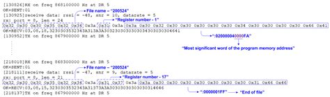 Efficient Runtime Firmware Update Mechanism for LoRaWAN Class A Devices