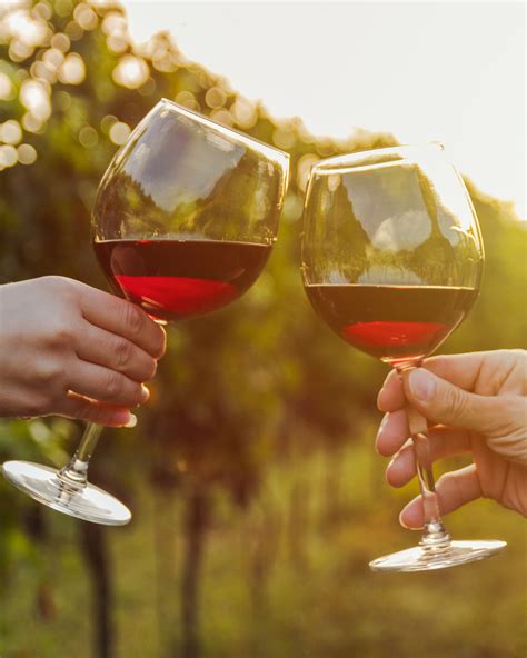 Sunshine Mountain Winery - San Marcos, CA