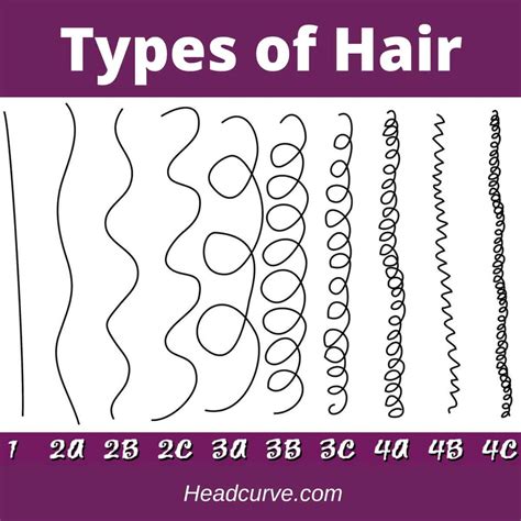 What Are The Different Hair Types