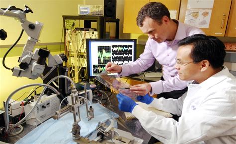 Biomedical Engineering Job Description 的图像结果