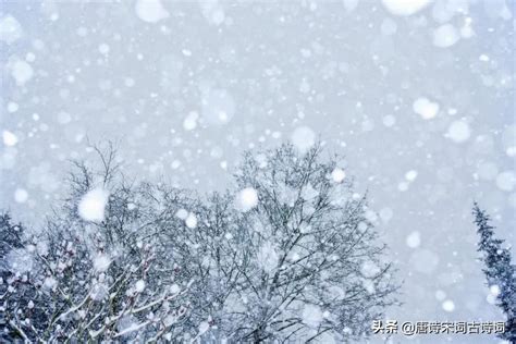 15个描写雪景的经典片段-搜狐