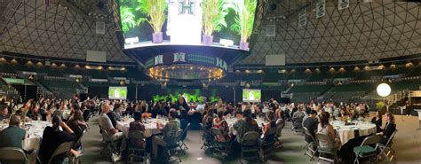 Mānoa: Title IX 50th anniversary events raise $700K for women athletes ...