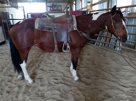 Jones Livestock Auction Fall Special Sale - October 30th - Jones, Oklahoma