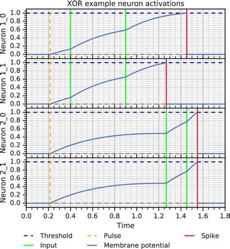 Image result for Neural Coding