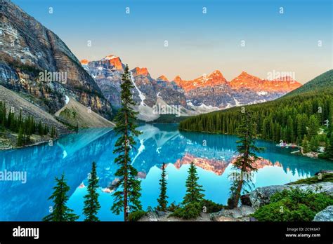 Image result for Research Design or Algorithm Design