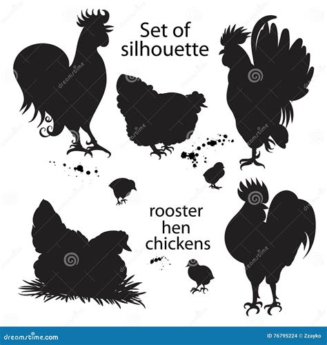 Set of Black Silhouette of Roosters, Hens and Chickens. Stock Illustration - Illustration of ...