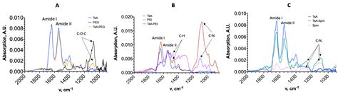 L-Asparaginase Conjugates from the Hyperthermophilic Archaea ...