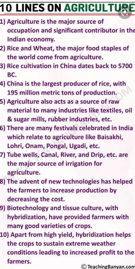Importance of agriculture in our daily lives. Five sentences about the ...