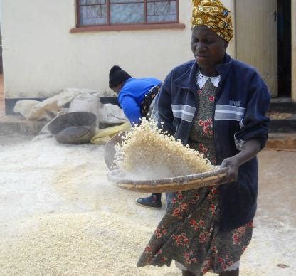 Decantation Process 的图像结果