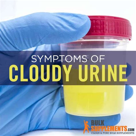 Cloudy Urine Symptoms, Causes and Treatment