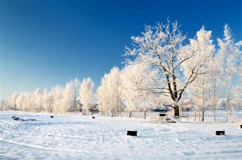 冬天风景图片素材-正版创意图片400934343-摄图网