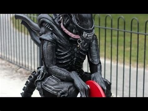 Alien Fireteam Character 的图像结果