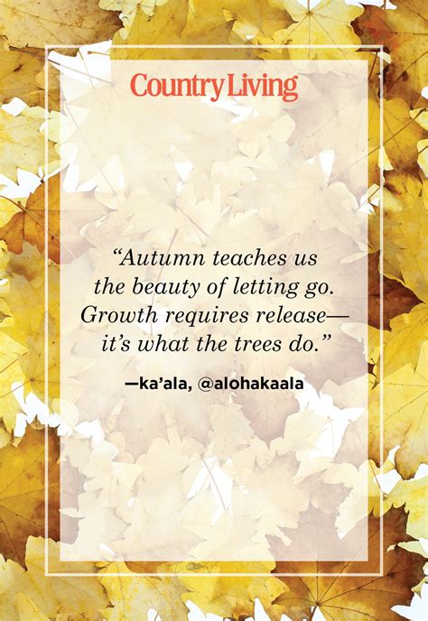 63 Inspirational Fall Quotes Capturing the Beauty of the Season